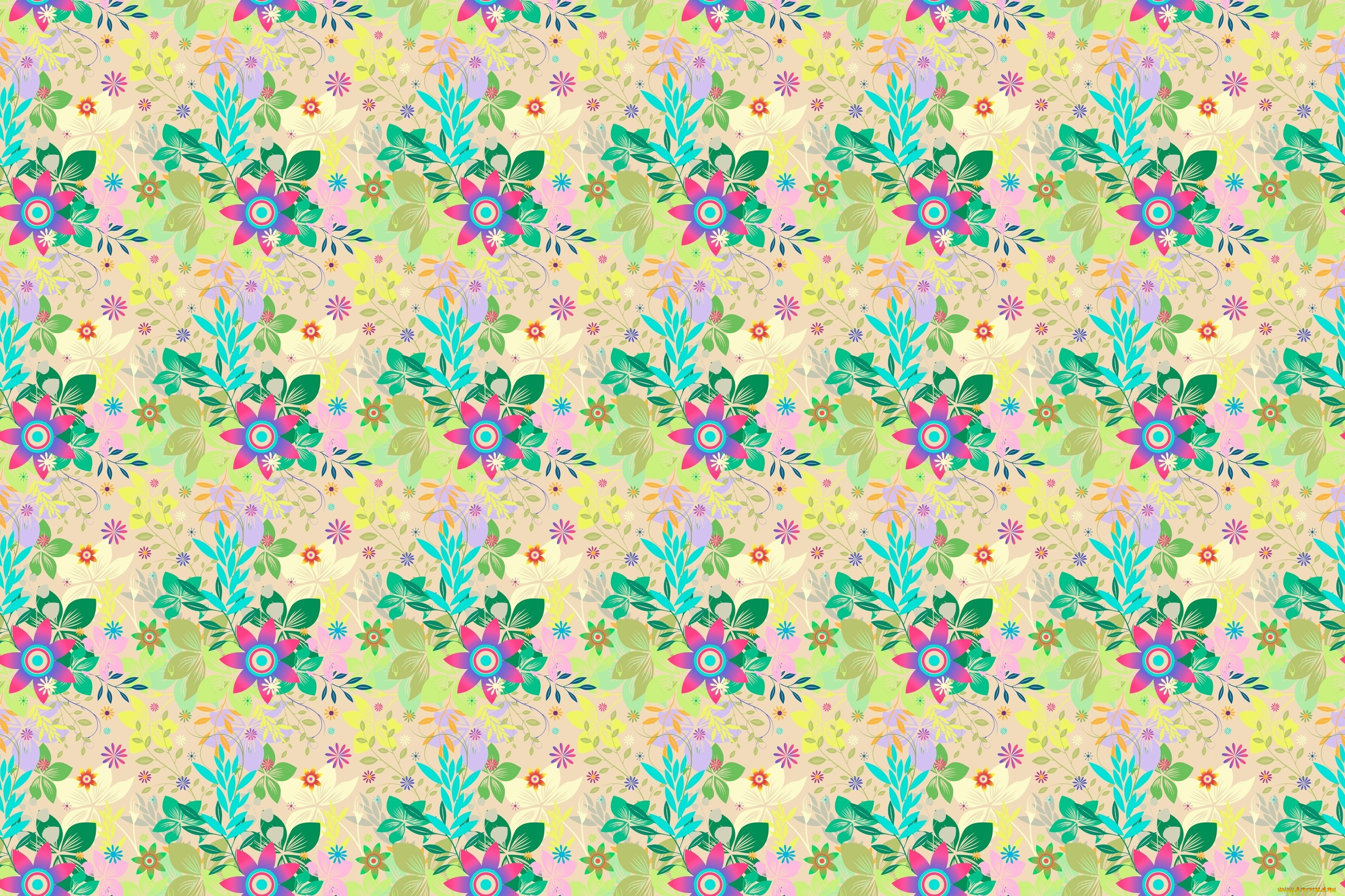  ,  , flowers, , 